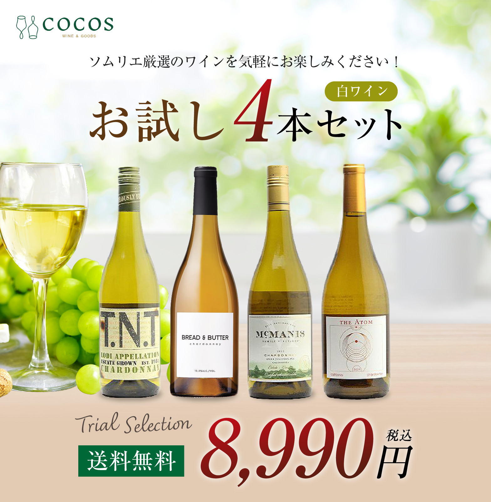 【COCOSバイヤーが選ぶワインセット！】白ワイン4本セット【送料無料】